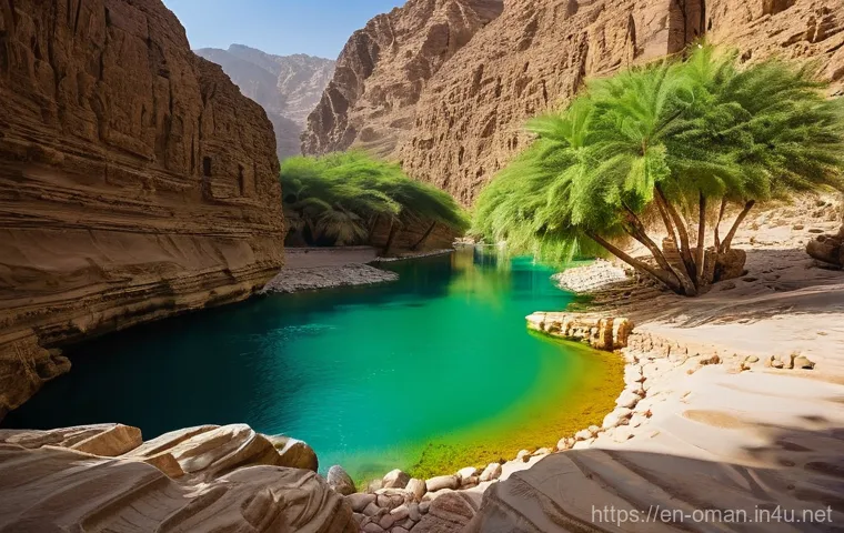 오만의 생태 관광 루트 - **Omani Wadi Serenity: A Hidden Oasis Adventure**
"A stunning and vibrant image showcasing the p...