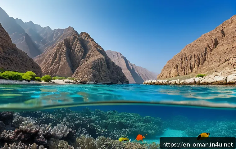 오만 해안 스노클링 - A serene, secluded bay along Oman&rsquo;s Musandam Peninsula featuring crystal-clear turquoise water with ...